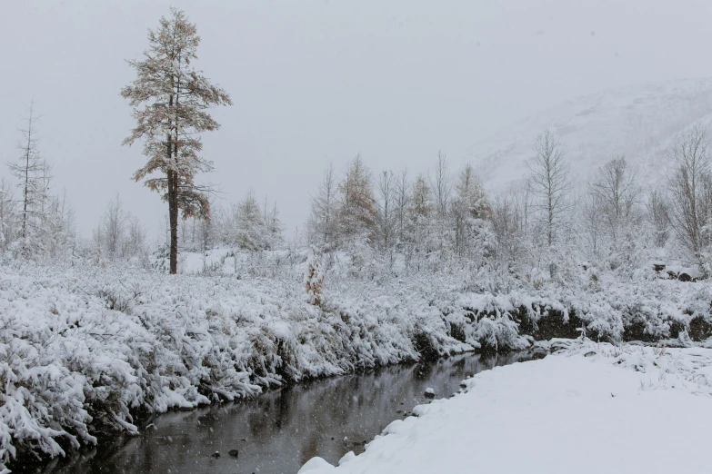 a stream running through a snow covered forest, inspired by Ike no Taiga, pexels contest winner, hurufiyya, mongolia, thumbnail, festivals, grey