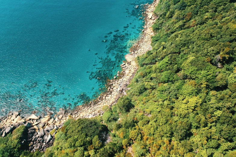 a large body of water surrounded by trees, a digital rendering, pexels contest winner, hurufiyya, croatian coastline, hong kong, high angle close up shot, conde nast traveler photo