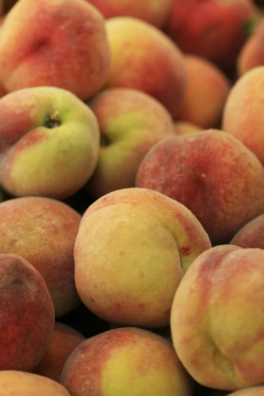 a pile of peaches sitting on top of each other, soft blush, organics, zoomed in, 2 5 6 x 2 5 6 pixels