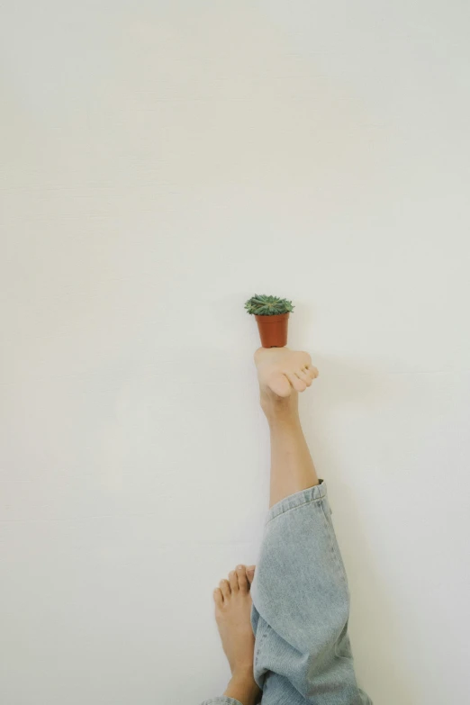 a person laying on the floor with a plant in their hand, by Rebecca Horn, unsplash, postminimalism, hands up, leaning on the wall, фото девушка курит, smol