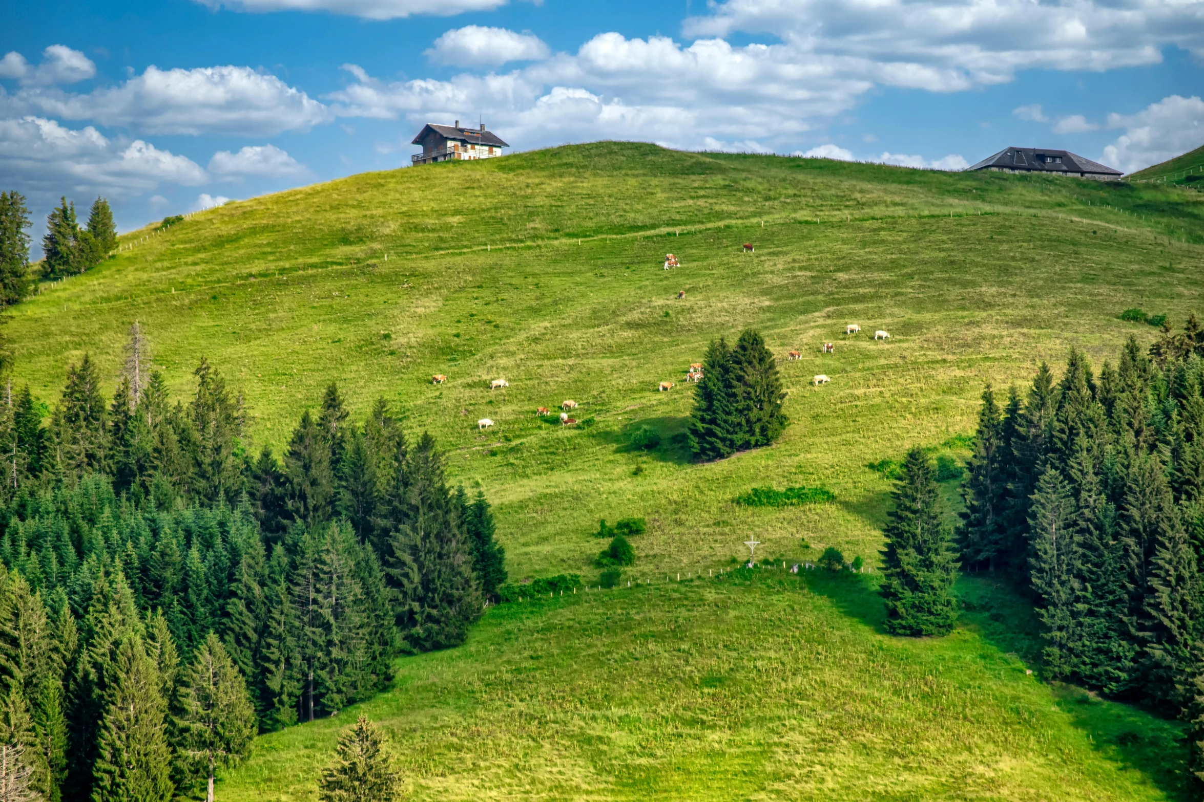 a herd of sheep grazing on a lush green hillside, an album cover, by Matthias Stom, pexels contest winner, renaissance, log houses built on hills, today\'s featured photograph 4k, multiple stories, landscape wallpaper