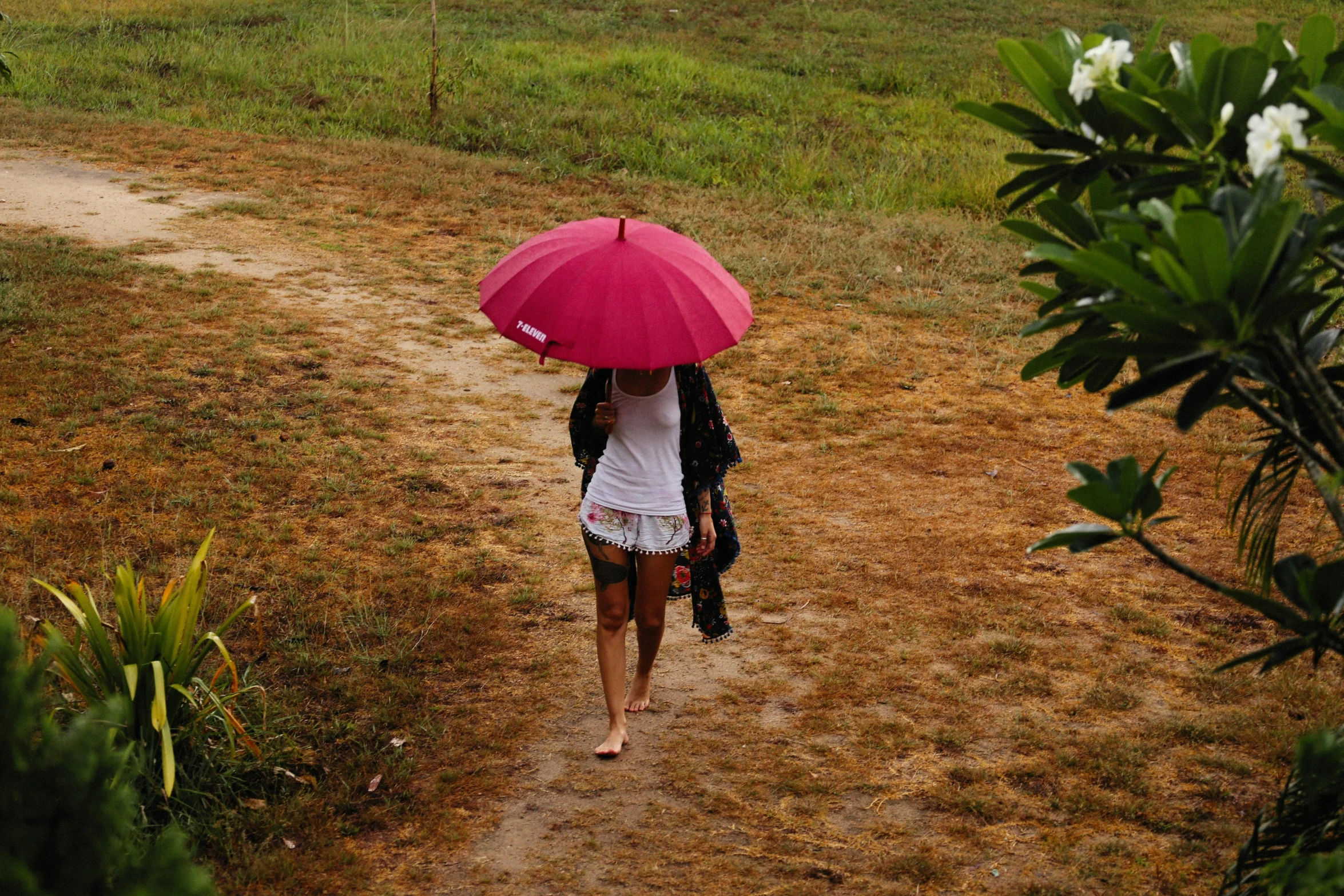 a woman walking down a dirt path with a pink umbrella, sri lanka, maroon red, feeling miserable, instagram picture