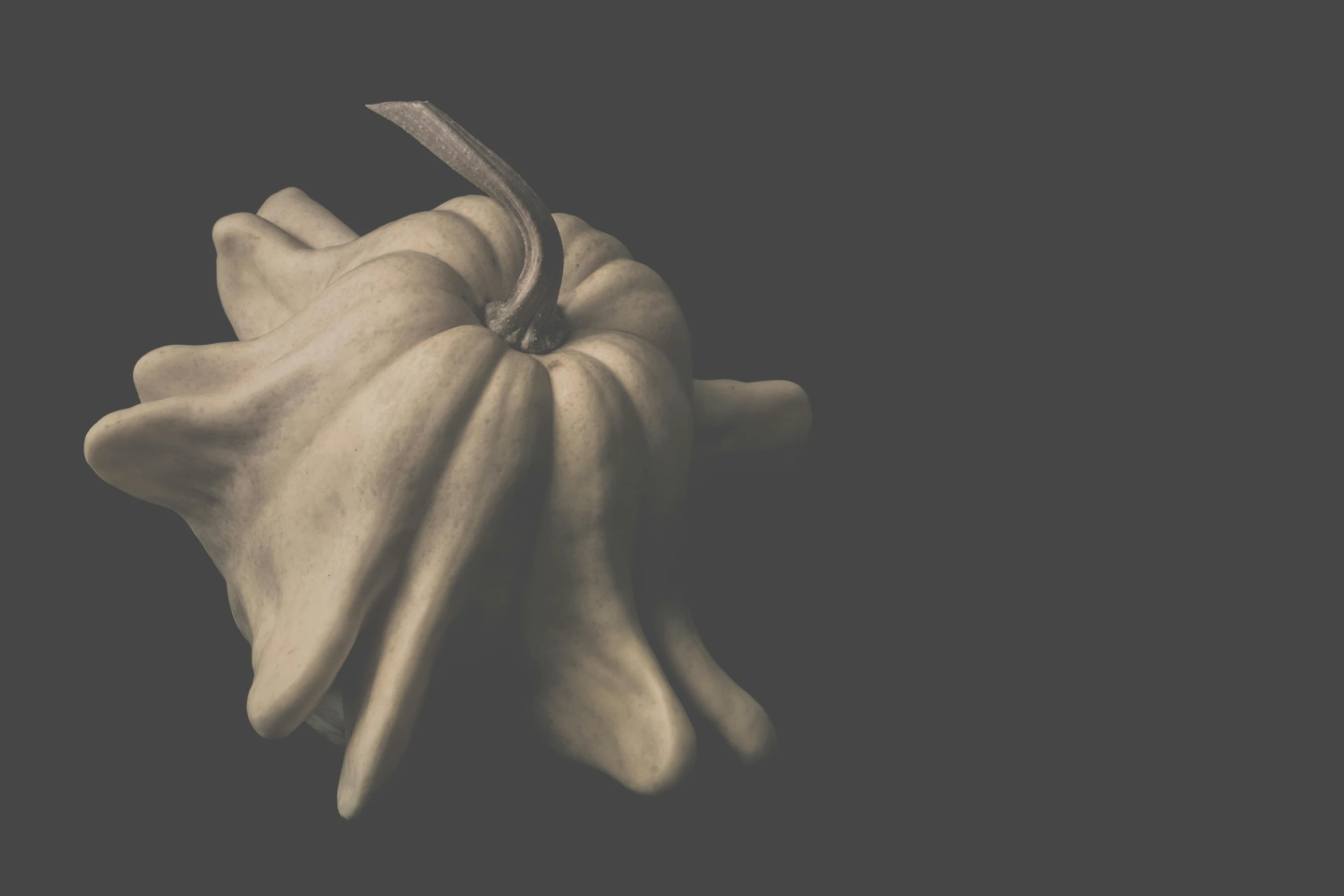 a black and white photo of a flower, a still life, inspired by Robert Mapplethorpe, unsplash, tonalism, pumpkin, background image, old color photograph, fairy fruit. octane render