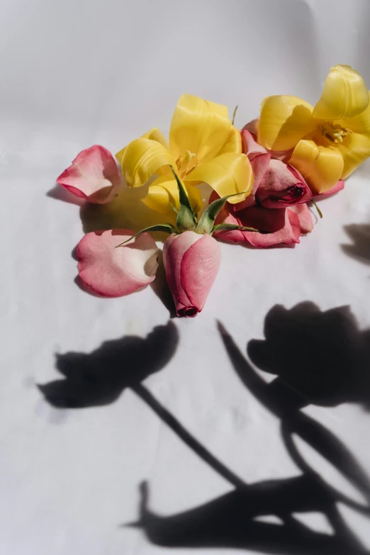 a bunch of flowers sitting on top of a table, an album cover, by Emily Shanks, unsplash, romanticism, long cast shadows, pink and yellow, detail shot, nick knight