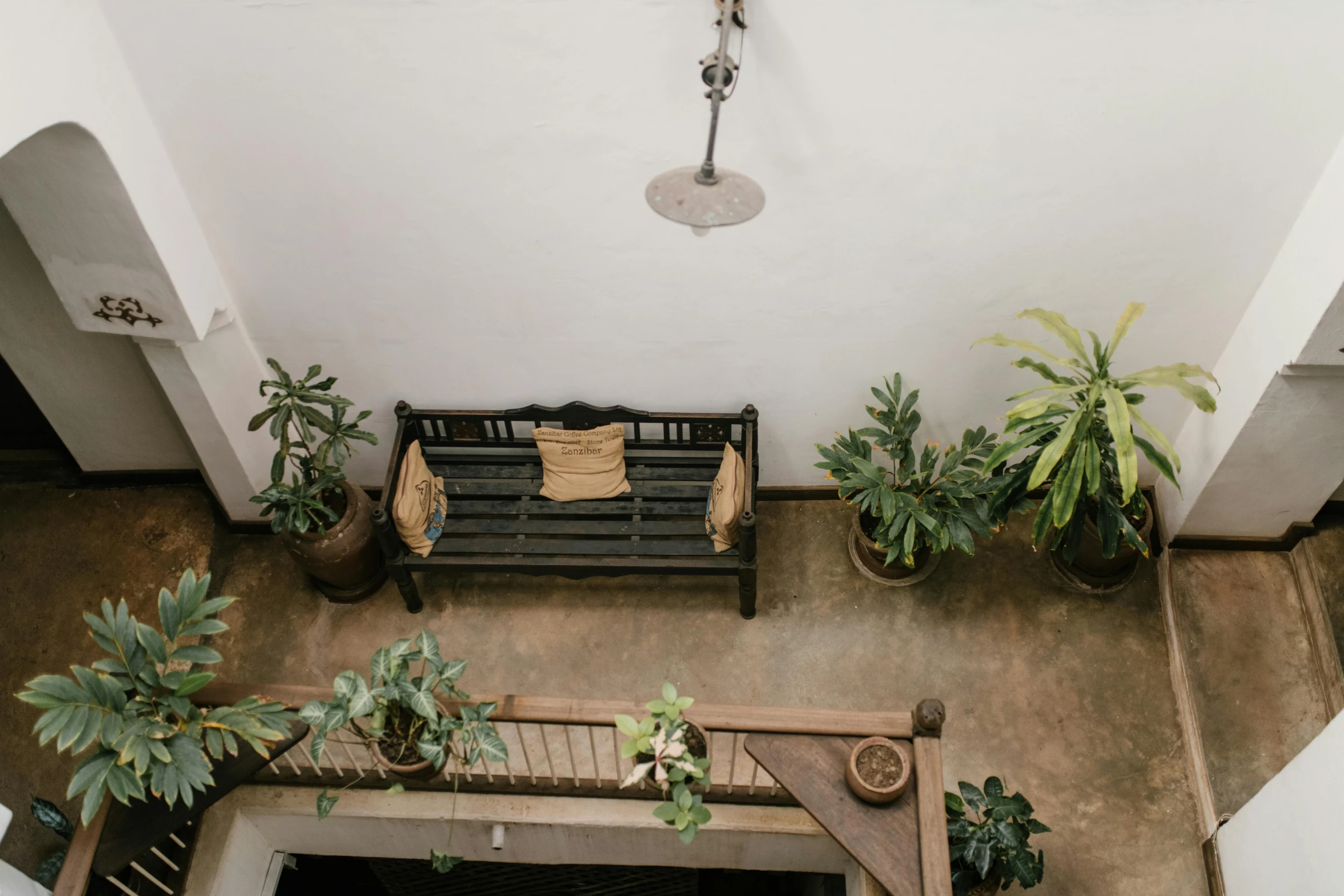 a room filled with lots of plants and a wooden bench, trending on unsplash, sri lanka, overhead ground floor, multiple stories, profile image