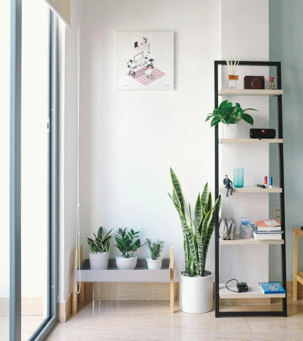 a living room with a bookshelf and potted plants, pexels contest winner, postminimalism, modern lush condo as shopfront, busy room, vertical orientation, full-body