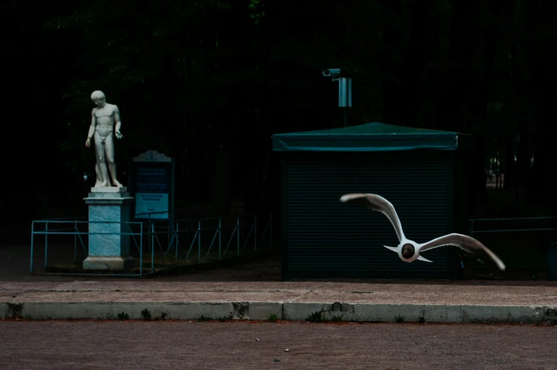 a bird that is flying in the air, a statue, by Alexis Grimou, birds in the distance, street photo, russian neoclassicism, color ( sony a 7 r iv