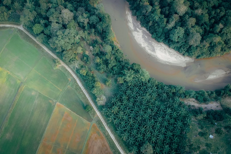 a river running through a lush green forest, by Jessie Algie, pexels contest winner, sumatraism, roads among fields, helicopter view, unsplash 4k, bird\'s eye view