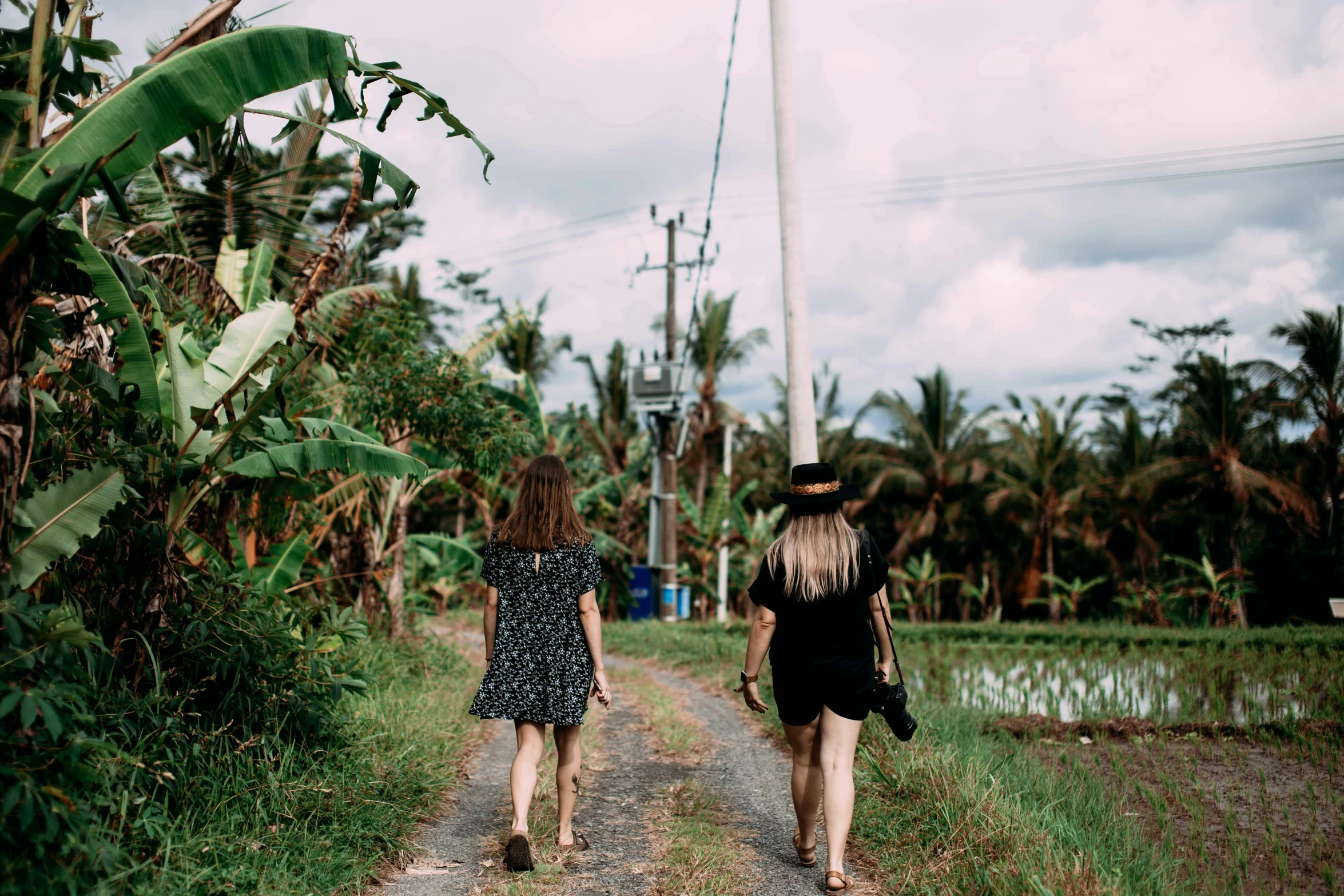 a couple of women walking down a dirt road, pexels contest winner, tropical vibe, rice paddies, walking through a suburb, black