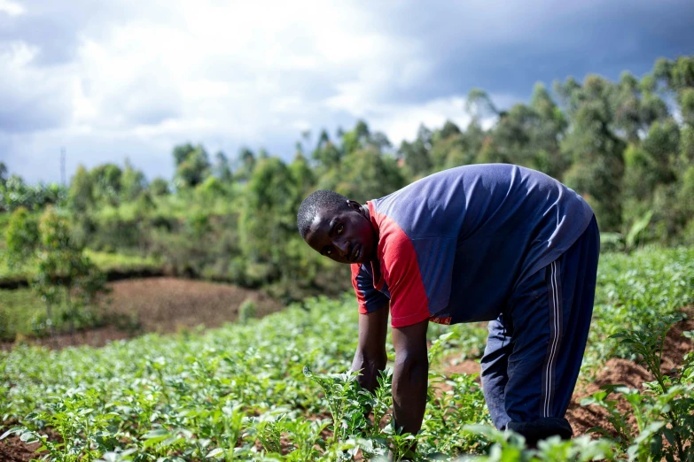 a man standing on top of a lush green field, by Ingrida Kadaka, hurufiyya, planted charge, profile image