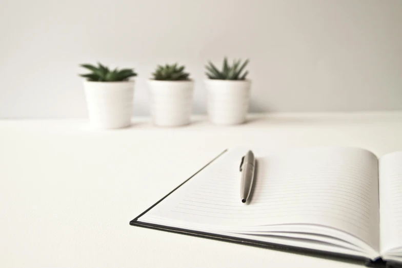 an open notebook with a pen sitting on top of it, by Andries Stock, minimalism, small plants, background image, in a row, white table