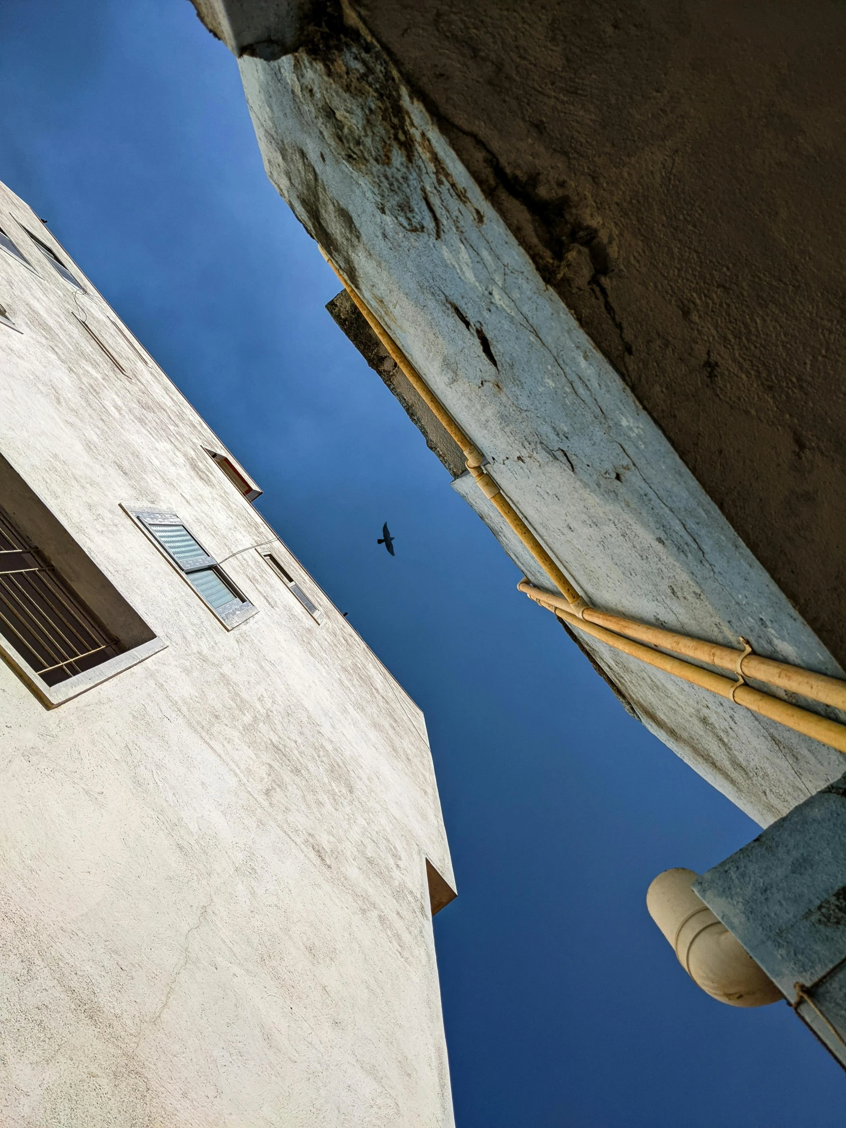 a couple of buildings that are next to each other, a photo, inspired by Ismael Nery, pexels contest winner, arabesque, flying around the bird, leica s photograph, shady alleys, today\'s featured photograph 4k