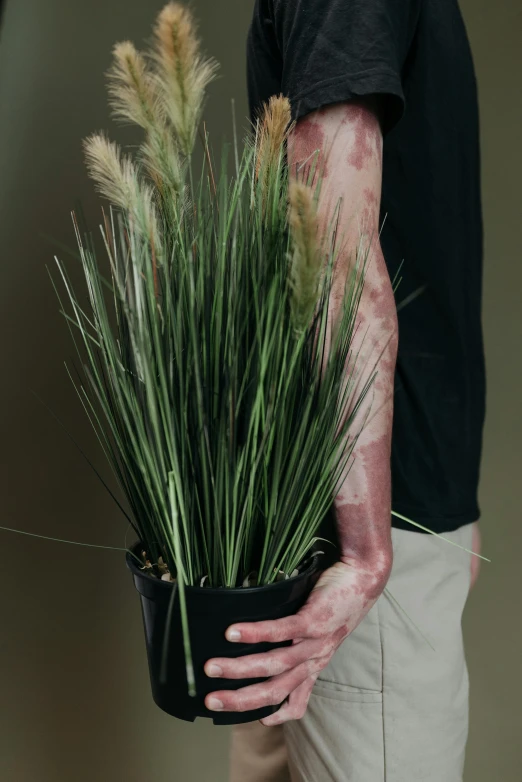 a close up of a person holding a potted plant, inspired by Elsa Bleda, hyperrealism, tall grass, skin wounds, prosthetic, long arms