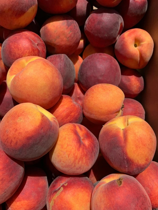 a box filled with lots of ripe peaches, profile image, highly upvoted, petite, seasonal