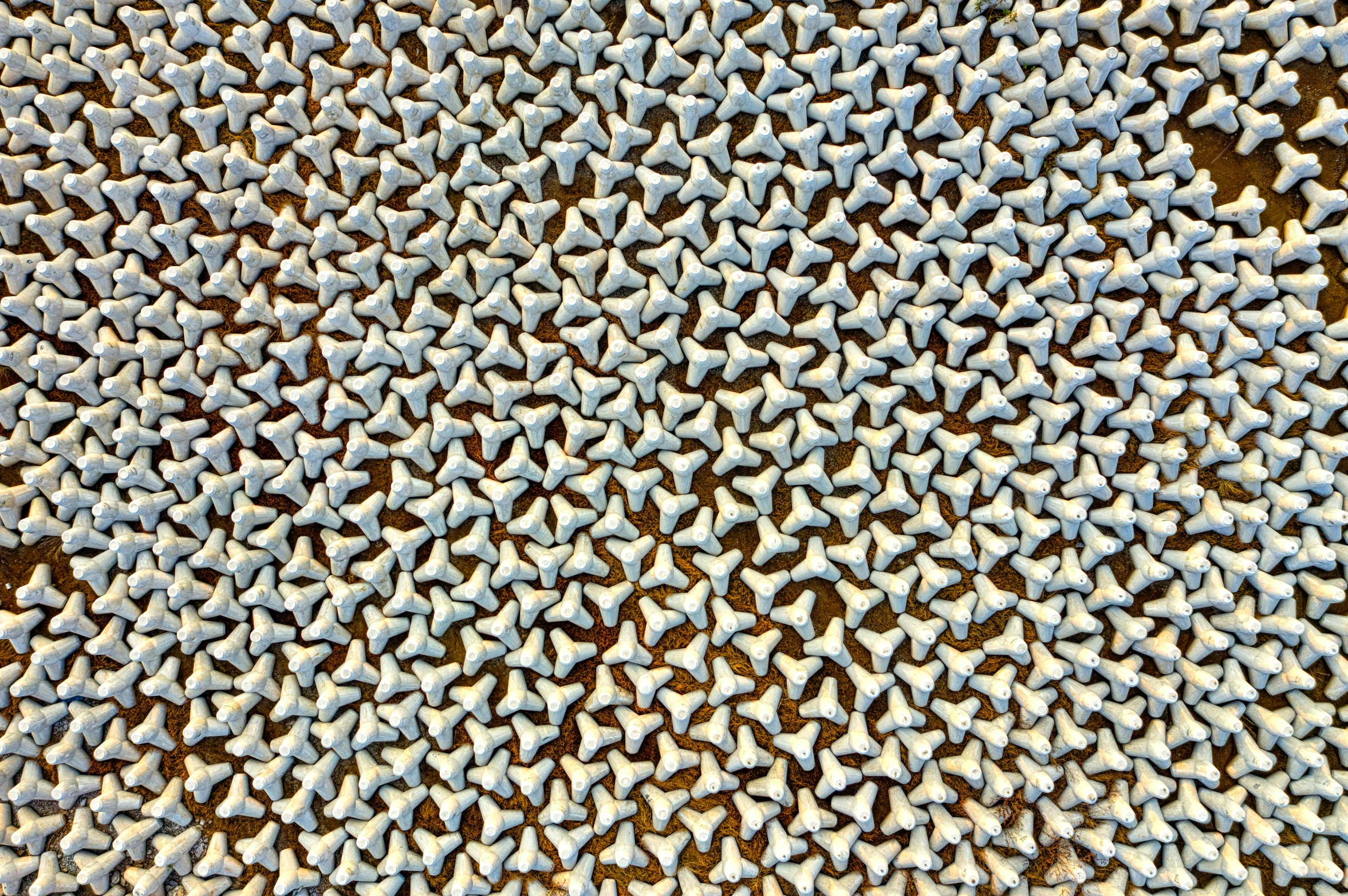 a group of toothbrushes sitting on top of a table, a microscopic photo, inspired by Mark Tobey, reddit, kinetic pointillism, mc escher tessellation, lots of white cotton, shark teeth, detail texture