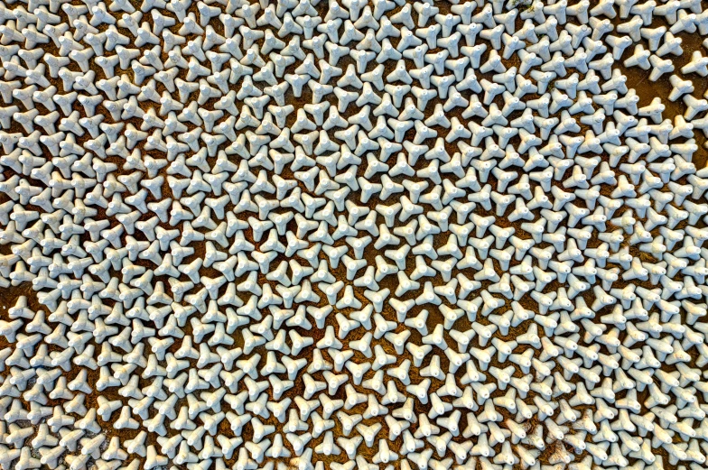 a group of toothbrushes sitting on top of a table, a microscopic photo, inspired by Mark Tobey, reddit, kinetic pointillism, mc escher tessellation, lots of white cotton, shark teeth, detail texture