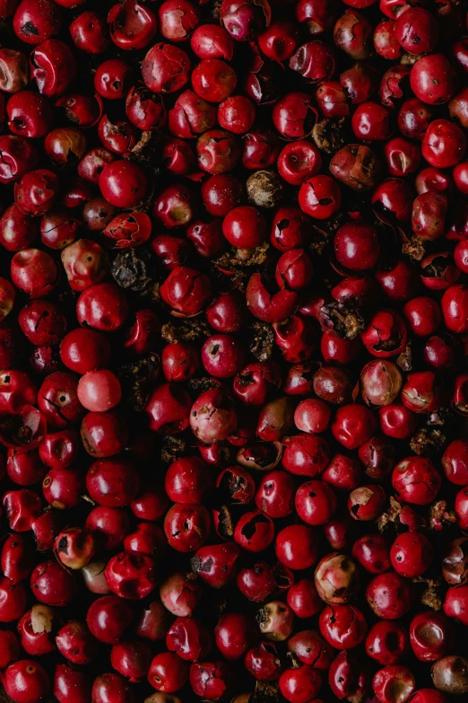 a pile of cranberries sitting on top of each other, by Nina Hamnett, hurufiyya, 2 5 6 x 2 5 6 pixels, spices, slide show, pepper