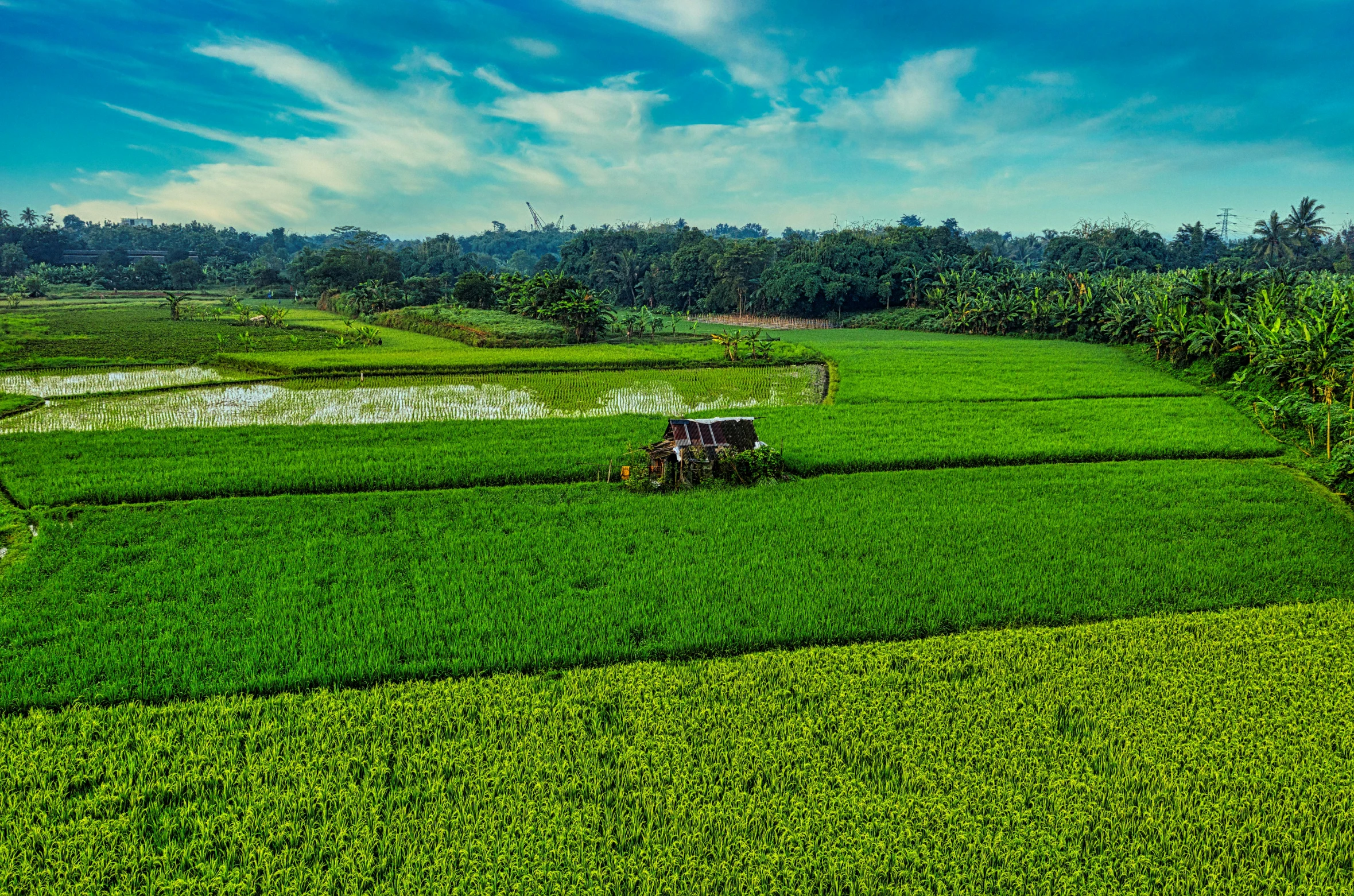 a tractor driving through a lush green field, by Basuki Abdullah, pexels contest winner, sumatraism, kerala village, minecraft landscape, panorama shot, high quality picture