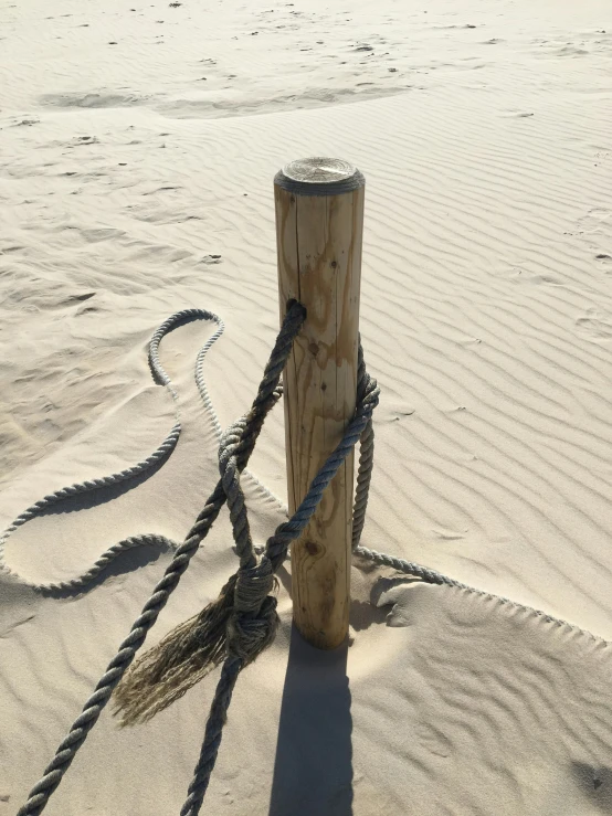 a wooden post sitting on top of a sandy beach, thick cables whipping around, in the desert beside the gulf, profile image