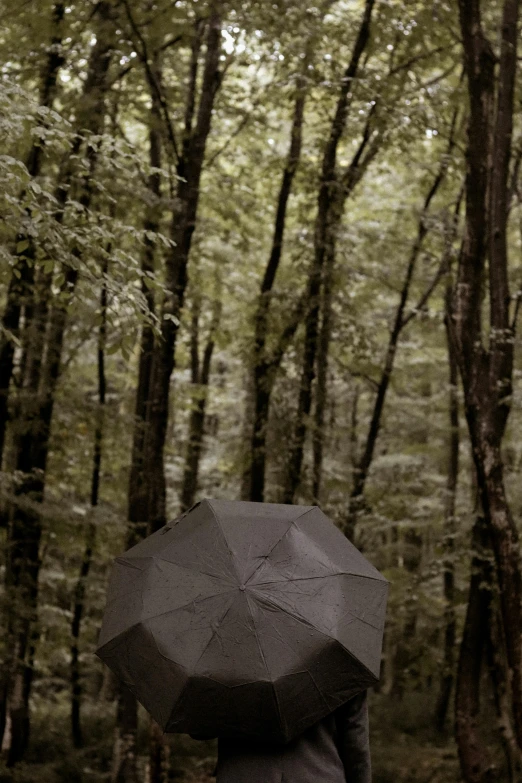 a person standing in the woods with an umbrella, by Béla Nagy Abodi, conceptual art, brown, hyperrealistic photography, southern gothic, grey