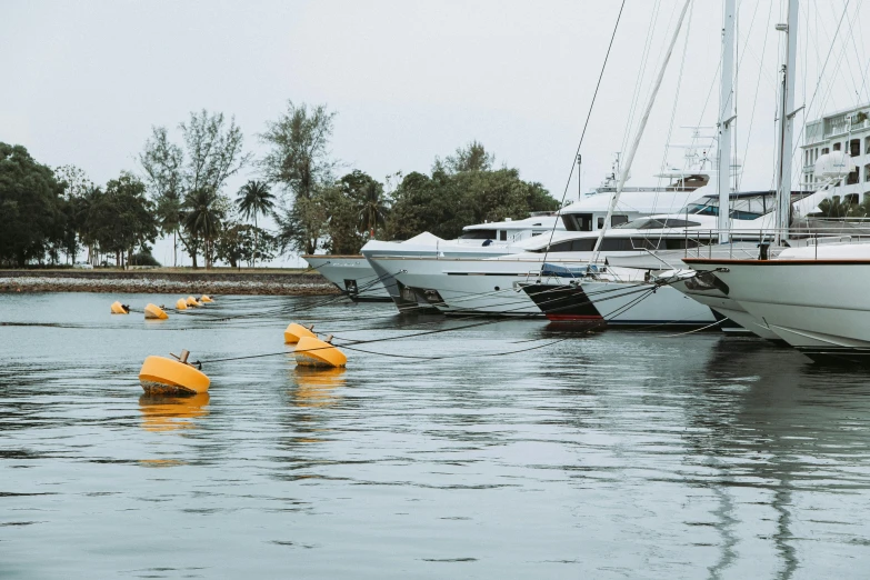 a number of boats in a body of water, pexels contest winner, silver and yellow color scheme, luxury lifestyle, puerto rico, ready to model