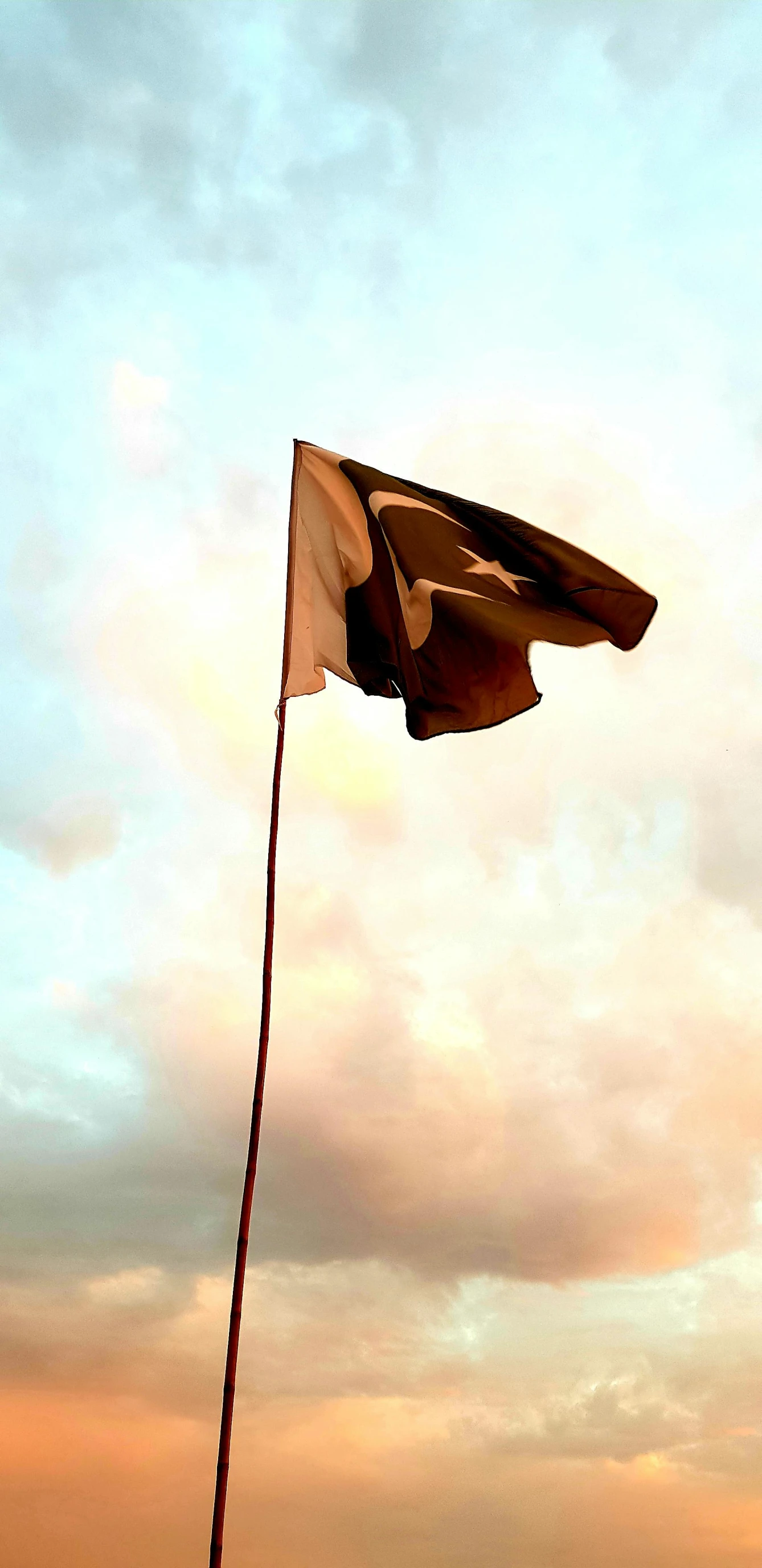 a man flying a kite on top of a beach, an album cover, by Riza Abbasi, pexels, hurufiyya, flag, stern, historical, pork