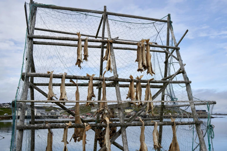 a bunch of fish hanging from a fishing net, kete butcher, three masts, photograph taken in 2 0 2 0, open synthetic maw