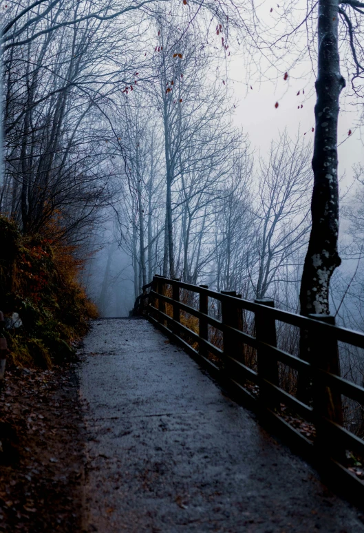 a bridge in the middle of a forest on a foggy day, a picture, inspired by Elsa Bleda, pexels contest winner, romanticism, railing, cold colors, pathway, in the mountains