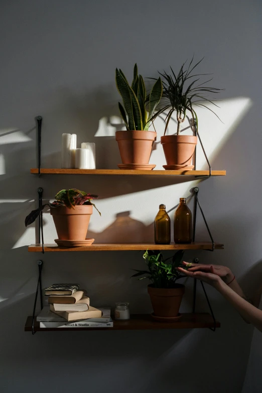 a woman standing in front of a shelf filled with potted plants, inspired by Elsa Bleda, trending on unsplash, sunset lighting, sustainable materials, jar on a shelf, hanging