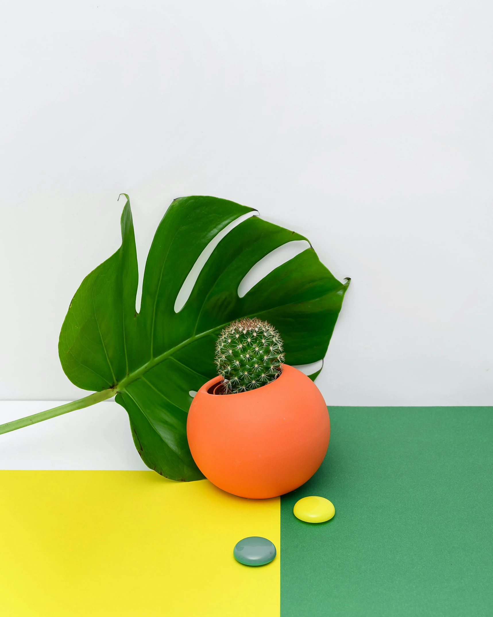 a potted plant sitting on top of a green and yellow table, orange planet, product image, flatlay, green pupills