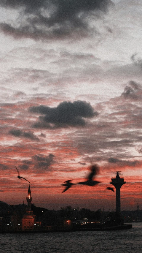 a group of birds flying over a body of water, an album cover, pexels contest winner, hurufiyya, red clouds, trending on vsco, cranes, silhouette :7