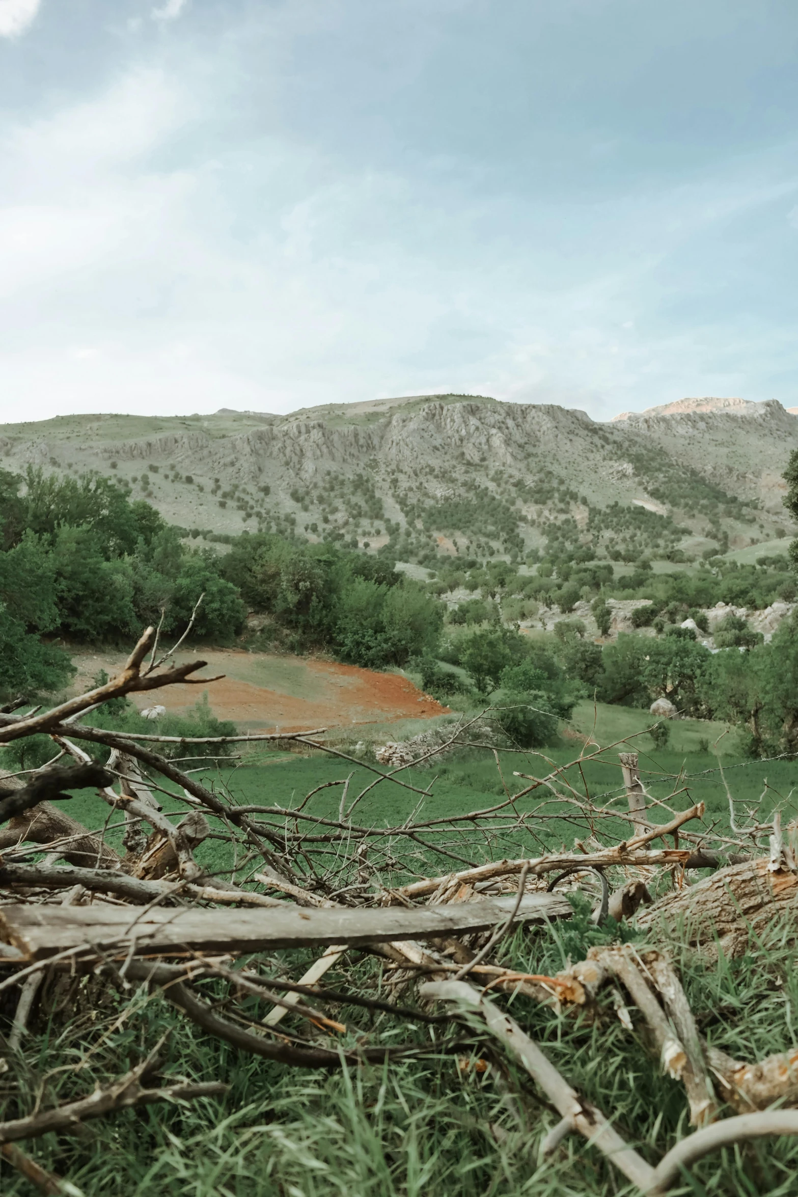 a man riding a horse through a lush green field, by Muggur, unsplash, les nabis, some fallen trees, 4 k cinematic panoramic view, turkey, old lumber mill remains