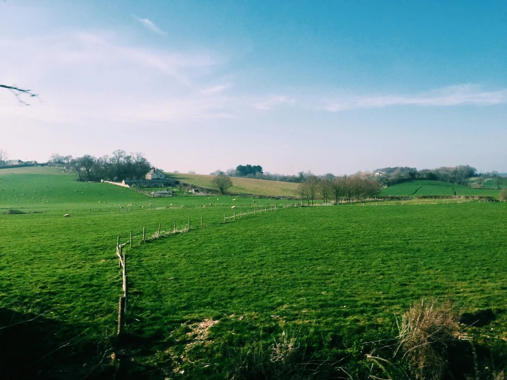 a field of green grass with a blue sky in the background, by Rachel Reckitt, unsplash, les nabis, next to farm fields and trees, instagram picture, the middle of a valley, madgwick