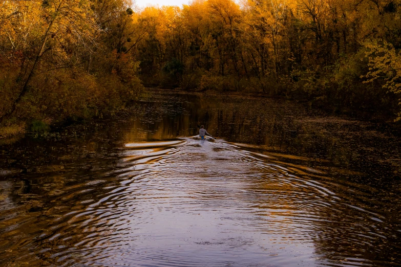 a large body of water surrounded by trees, a picture, by Robert Storm Petersen, pexels contest winner, rowing boat, warm golden backlit, thumbnail, full frame image