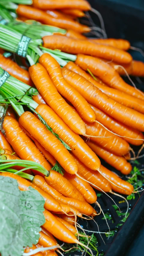 a bunch of carrots sitting on top of a black tray, thumbnail, uncropped, the sun is shining, vibrant colour