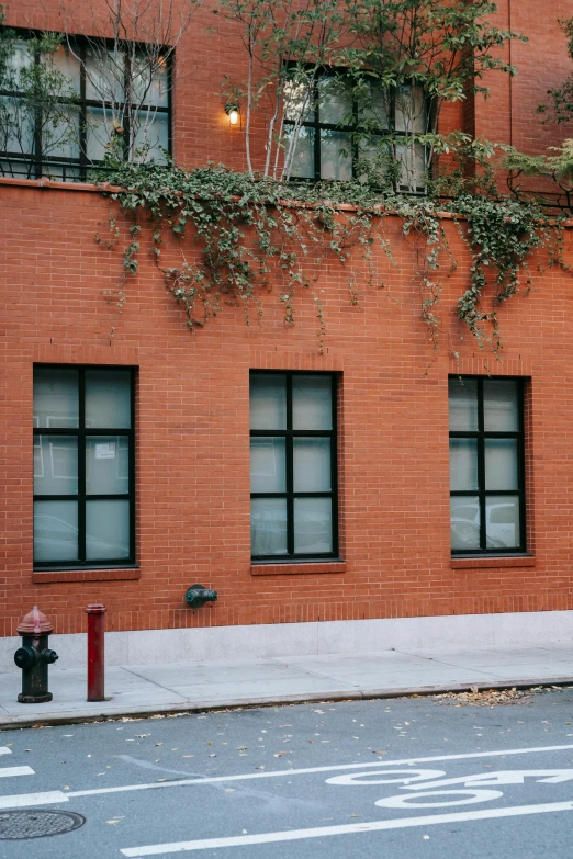 a red fire hydrant sitting on the side of a road, a photo, inspired by Elsa Bleda, american barbizon school, black windows, architectural digest, ivy's, but minimalist