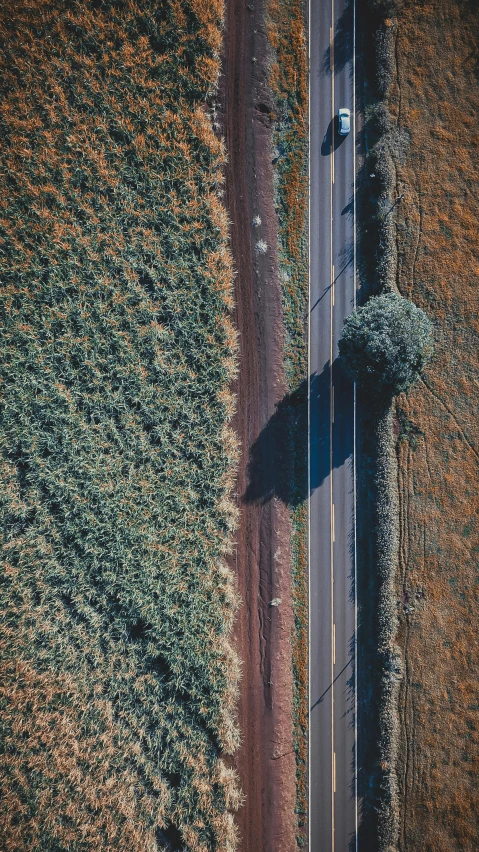 a car driving down a road next to a field, by Jacob Toorenvliet, unsplash contest winner, photorealism, top - down, 15081959 21121991 01012000 4k