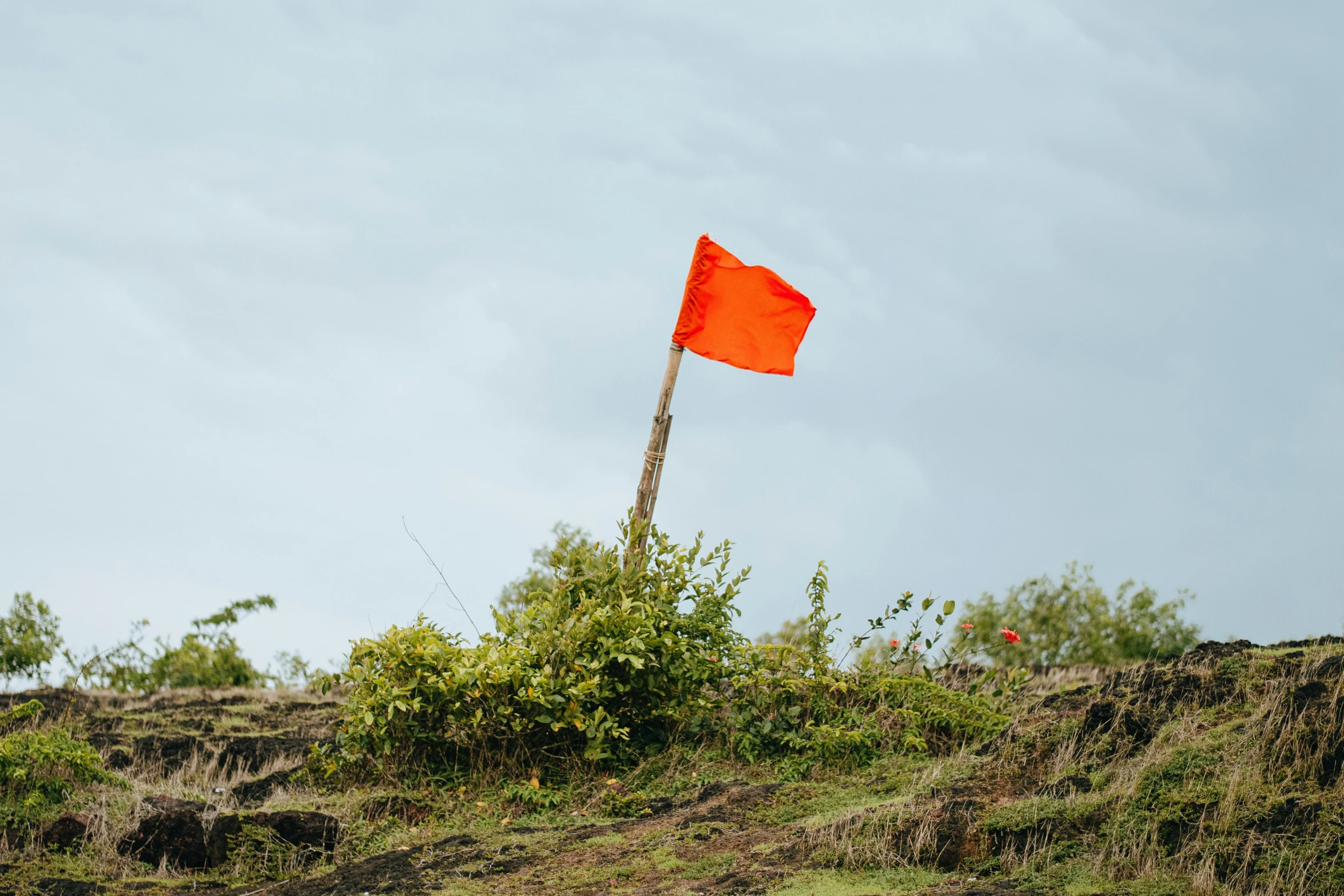 a red flag sitting on top of a lush green hillside, pexels, samikshavad, orange neon, on an island, damaged, hindu aesthetic