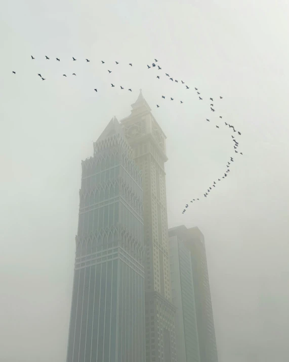 a flock of birds flying over a tall building, inspired by Zhang Kechun, pexels contest winner, foggy day outside, two organic looking towers, megatall building, taken in the late 2010s