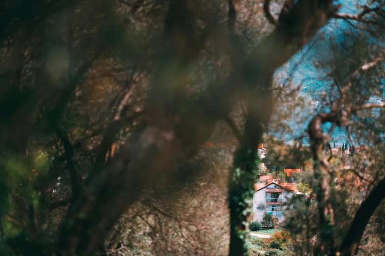 a view of a house through some trees, a tilt shift photo, pexels contest winner, renaissance, in a mediterranean lanscape, unsplash photo contest winner, staring at you, creepy sigma 75mm