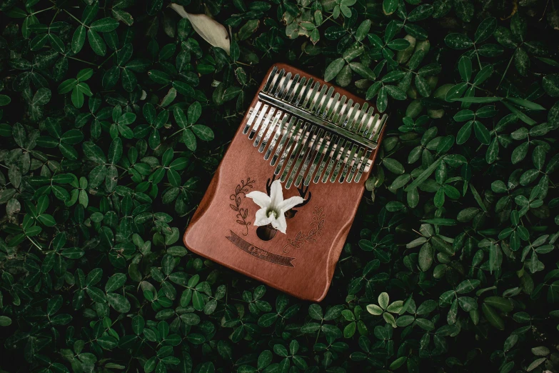 a musical instrument sitting on top of a lush green field, an album cover, inspired by Elsa Bleda, pexels contest winner, hurufiyya, afro comb, engraved, miniature product photo, botanicals