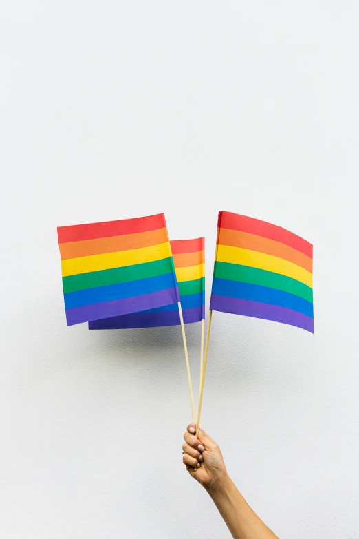 a person holding two rainbow flags against a white background, trending on unsplash, on a gray background, tiny sticks, waving, 🚿🗝📝