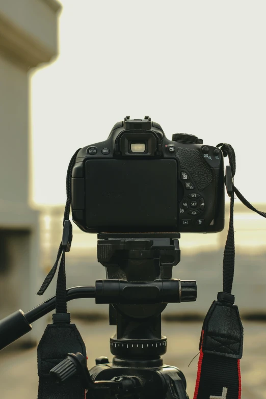 a close up of a camera on a tripod, looking towards the camera, posing for a picture