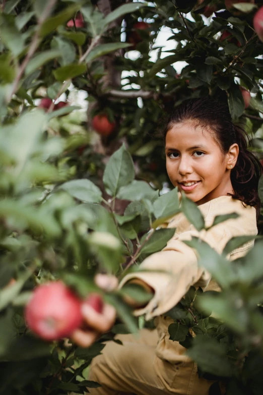 a young girl picking apples from a tree, by Jessie Algie, pexels contest winner, peruvian looking, a handsome, isabela moner, joanna gaines