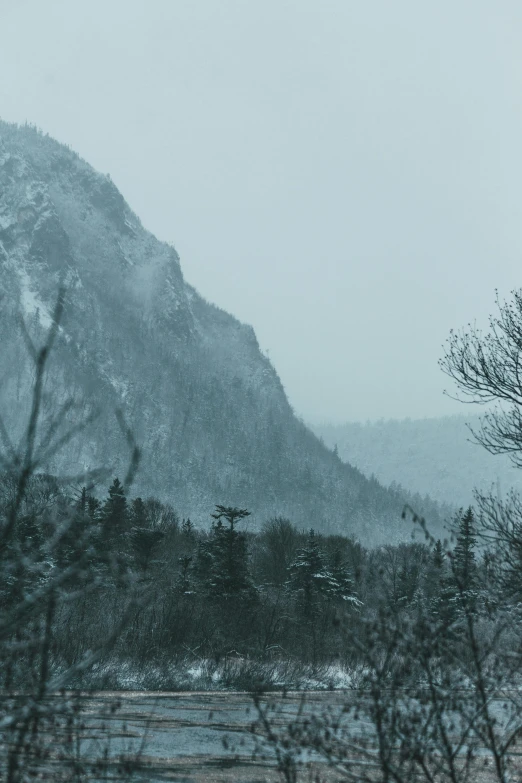 a snow covered mountain in the distance with trees in the foreground, inspired by Elsa Bleda, cliffs, lynn skordal, gray sky, low quality photo