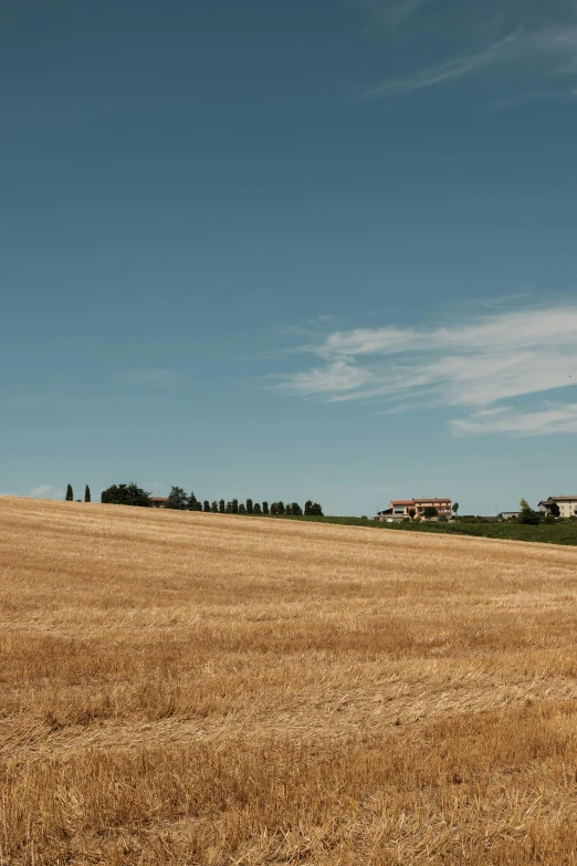 a red fire hydrant sitting in the middle of a field, an album cover, trending on unsplash, renaissance, tuscany hills, panorama distant view, brown stubble, house on a hill