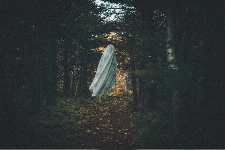 a ghost standing in the middle of a forest, an album cover, inspired by Elsa Bleda, pexels contest winner, flowing fabric, halloween, unsplash photography, levitating