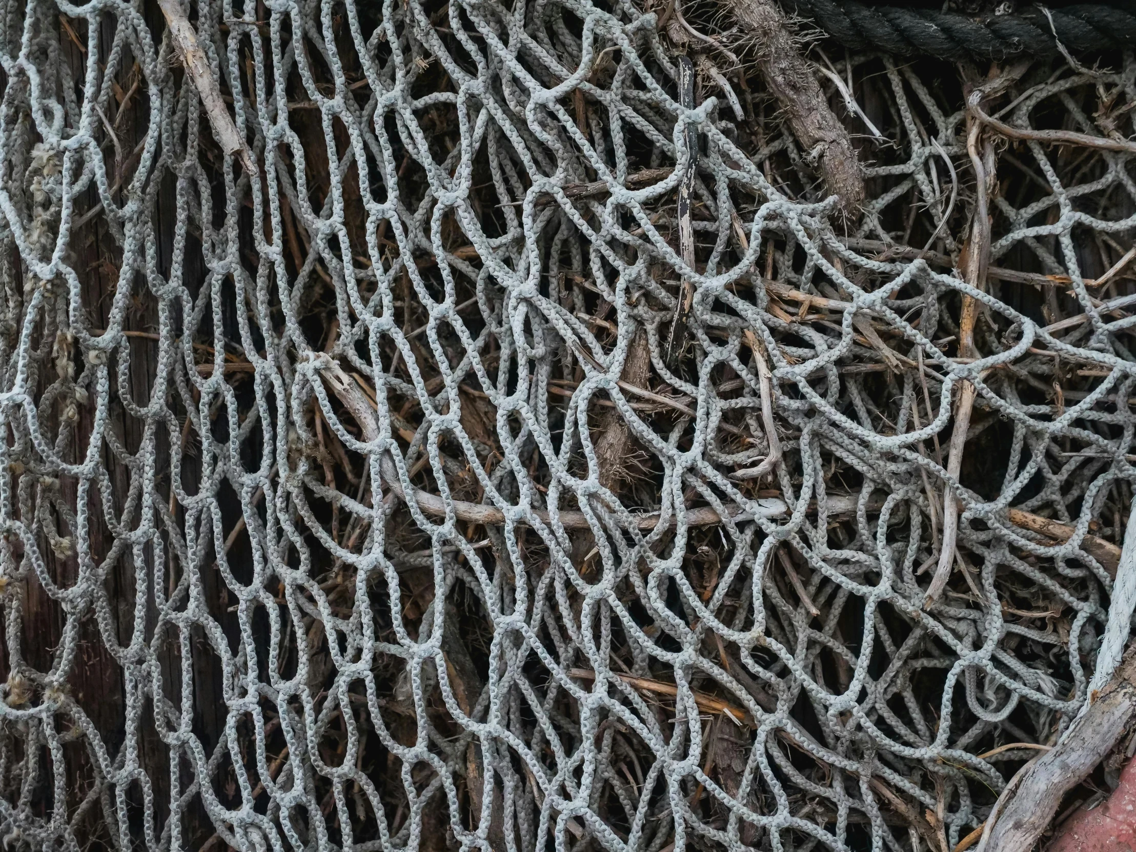 a close up of an old fishing net, inspired by Patrick Dougherty, unsplash, phone photo, textured plastic, ad image, grain”