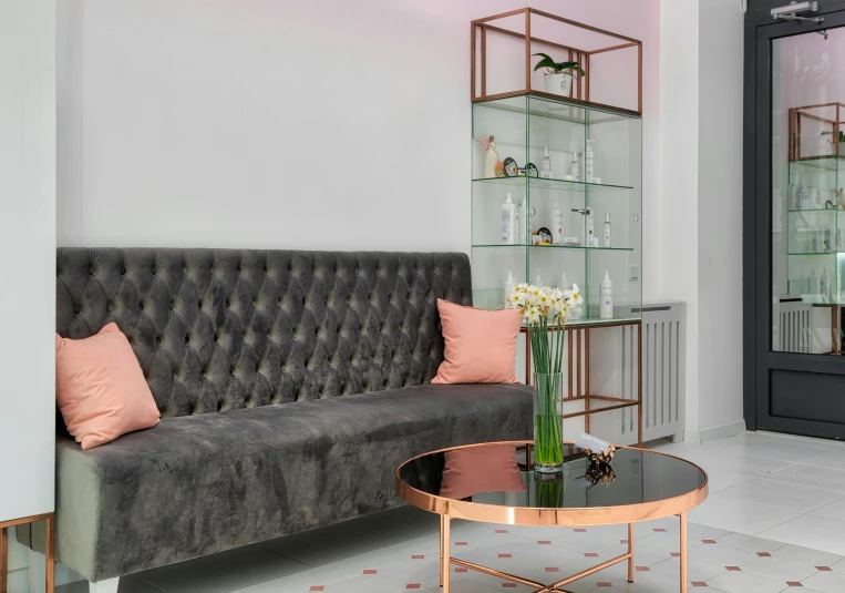 a living room with a couch and a coffee table, inspired by Constantin Hansen, private press, rose gold, award winning shopfront design, apothecary, neo kyiv