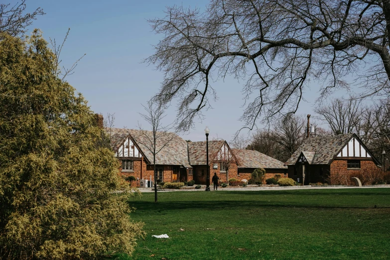 a red fire hydrant sitting on top of a lush green field, unsplash, barbizon school, with dark trees in foreground, several cottages, caulfield, background image